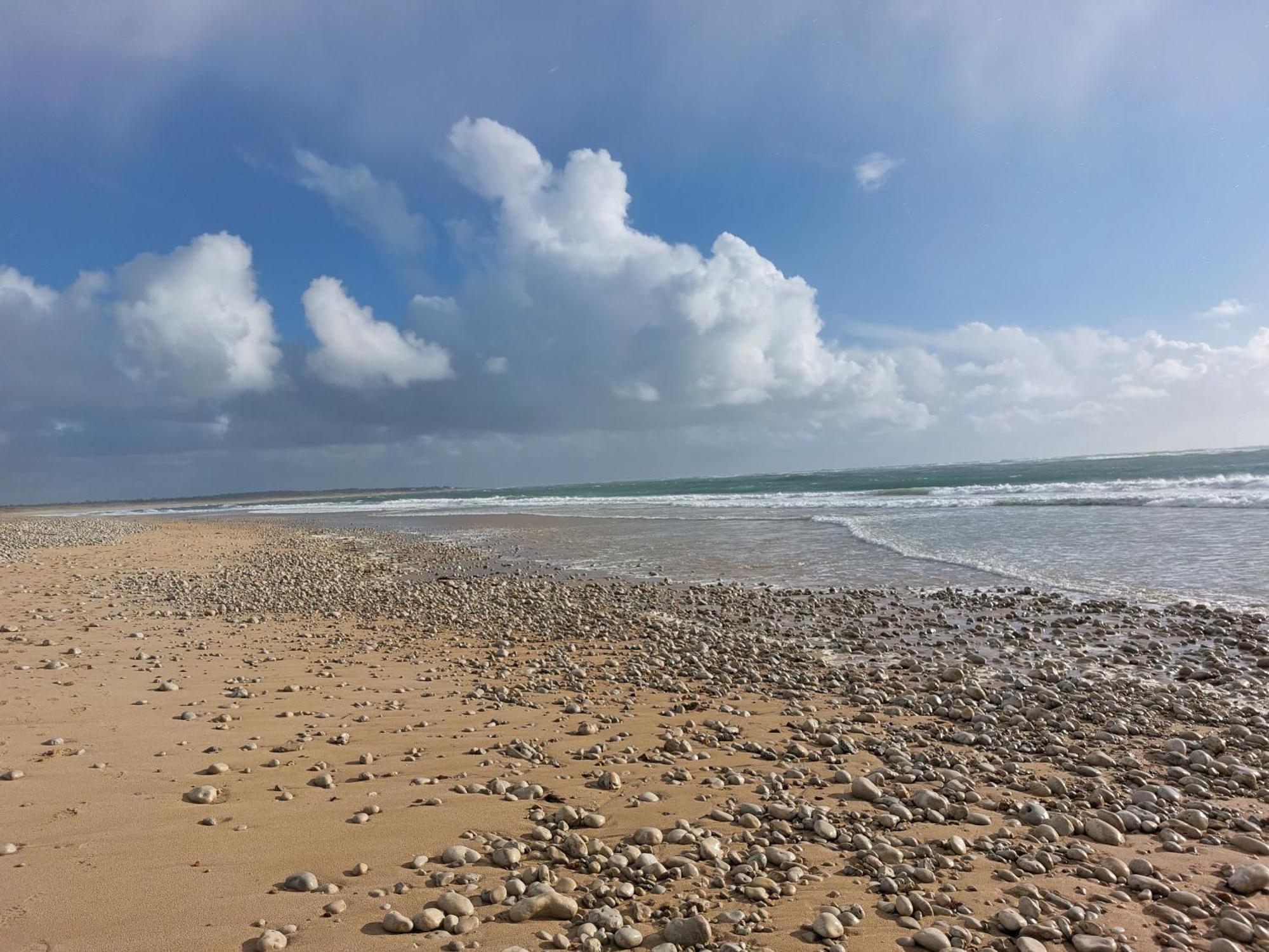 Maison A 8 Min A Pied De La Plage Avec Jardin Clos Et Ombrage 奥雷龙圣乔治 外观 照片
