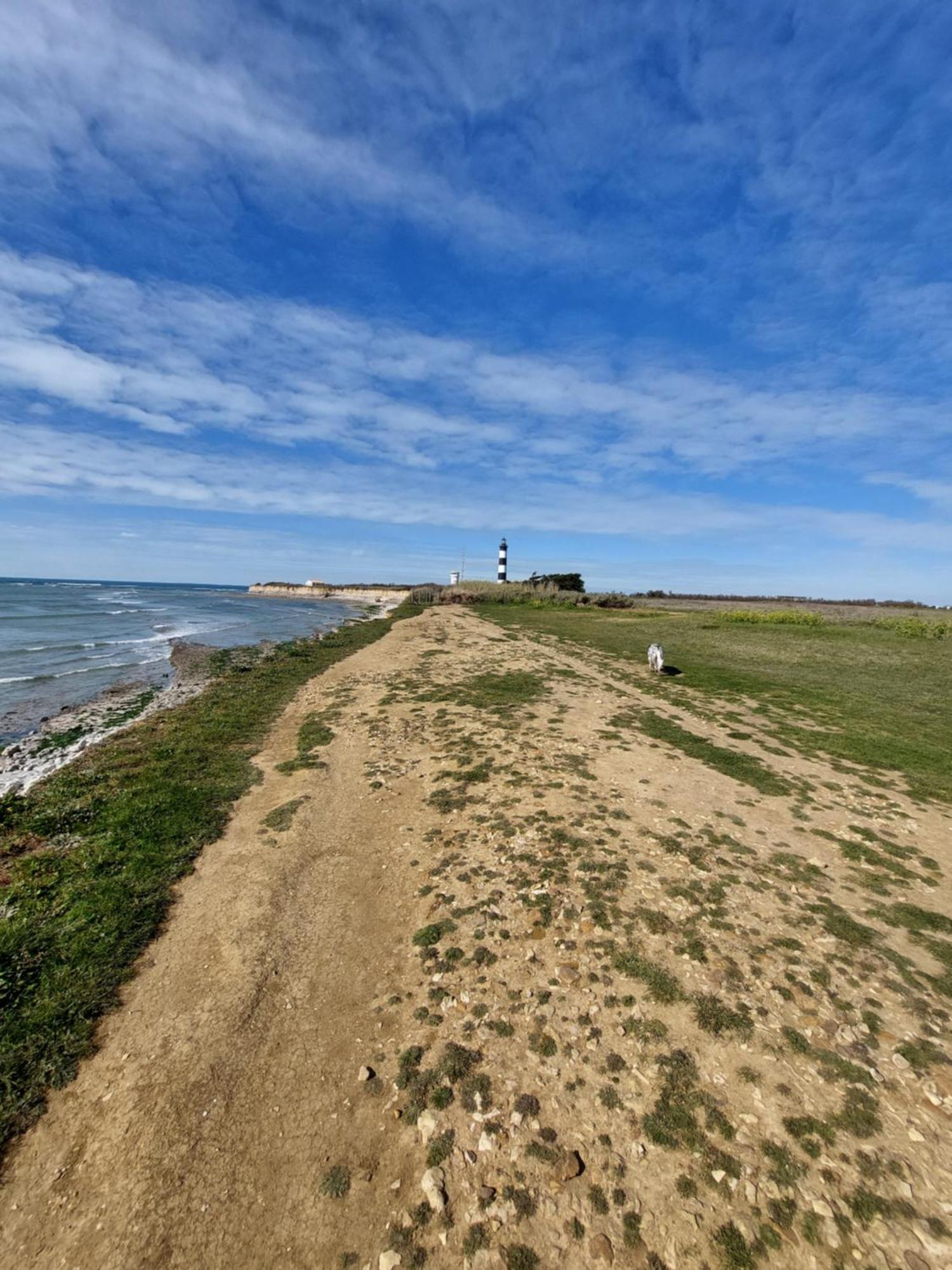 Maison A 8 Min A Pied De La Plage Avec Jardin Clos Et Ombrage 奥雷龙圣乔治 外观 照片